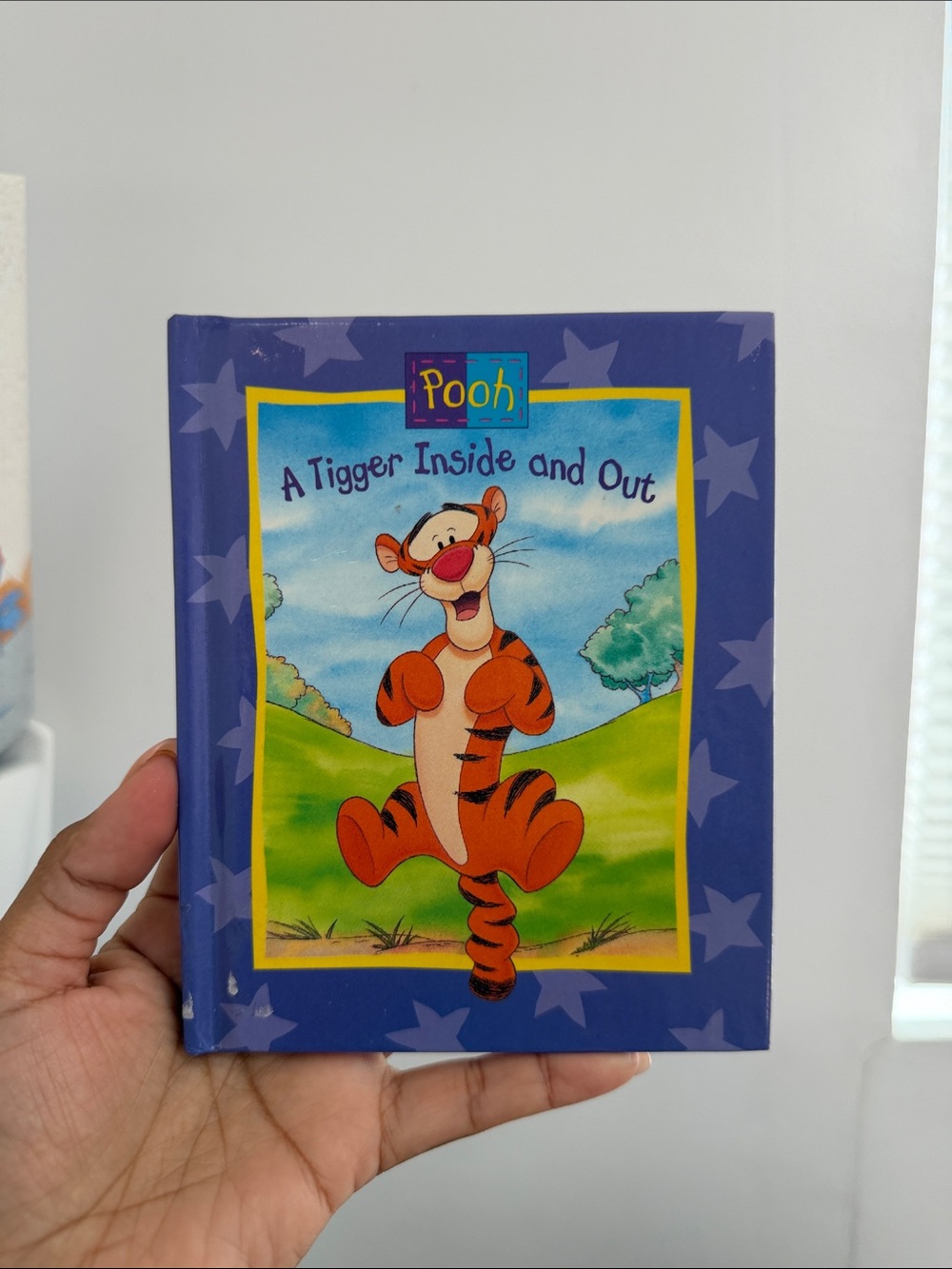 1995 A Tigger Inside and Out - Purple Kids Book